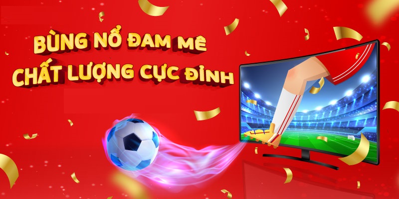 Hoà mình vào những trận đấu cực chất lượng