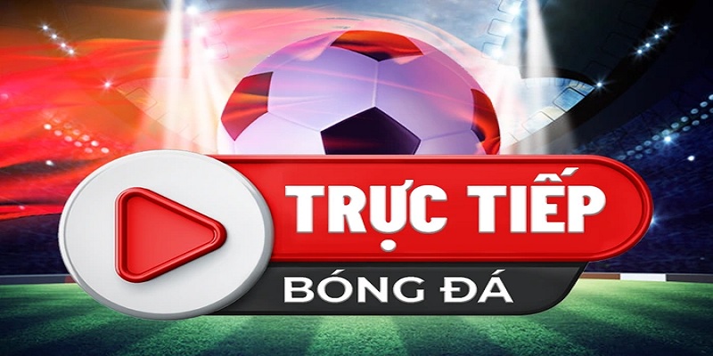 Trực tiếp bóng đá luôn được mọi thành viên Hi88 mong chờ