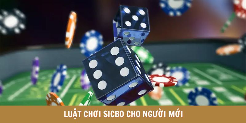 Hướng dẫn luật chơi sicbo