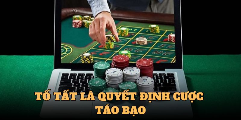 Tố tất là quyết định cực táo bạo