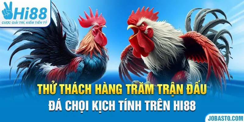 Thử thách hàng trăm trận đấu đá chọi kịch tính trên Hi88